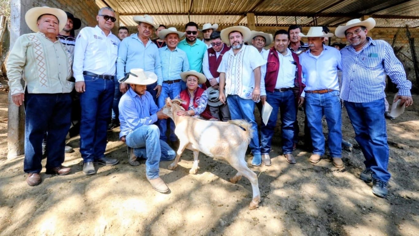 Edomex actúa tras detectar gusano barrenador en cabra