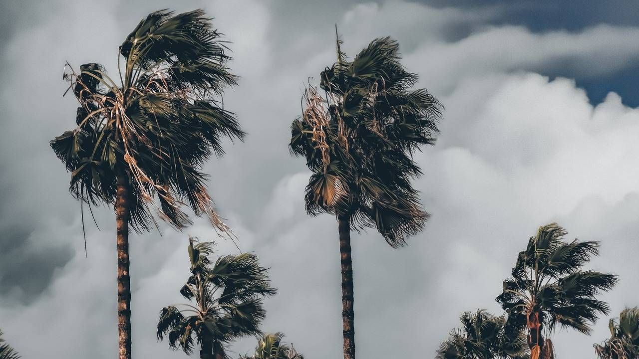 CNPC mantiene alerta por fuertes vientos