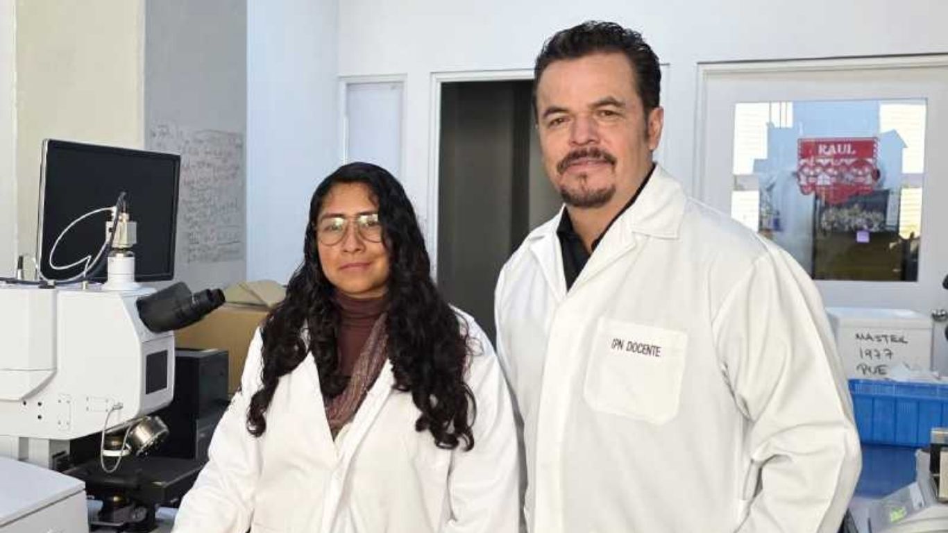 IPN crea biosensor que detecta bacteria del cáncer gástrico