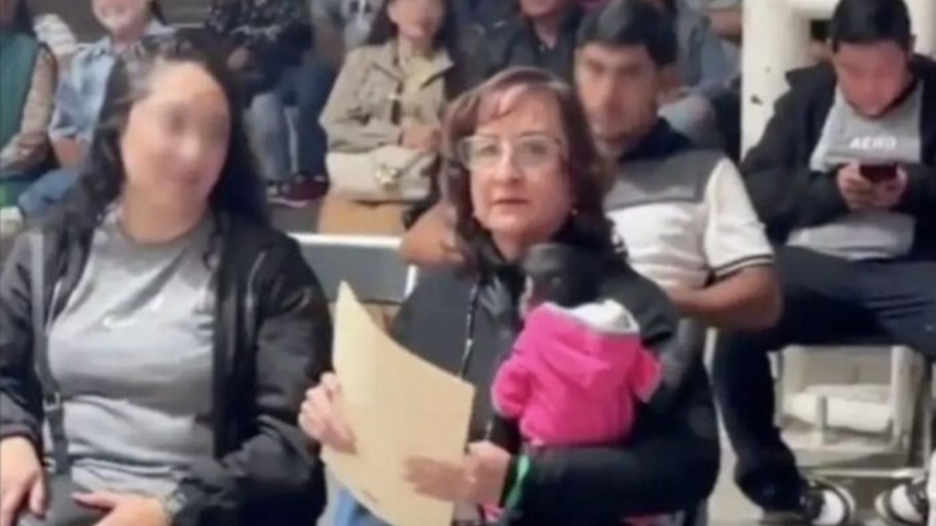 Profepa denuncia a regidora  por exhibir cría de mono araña