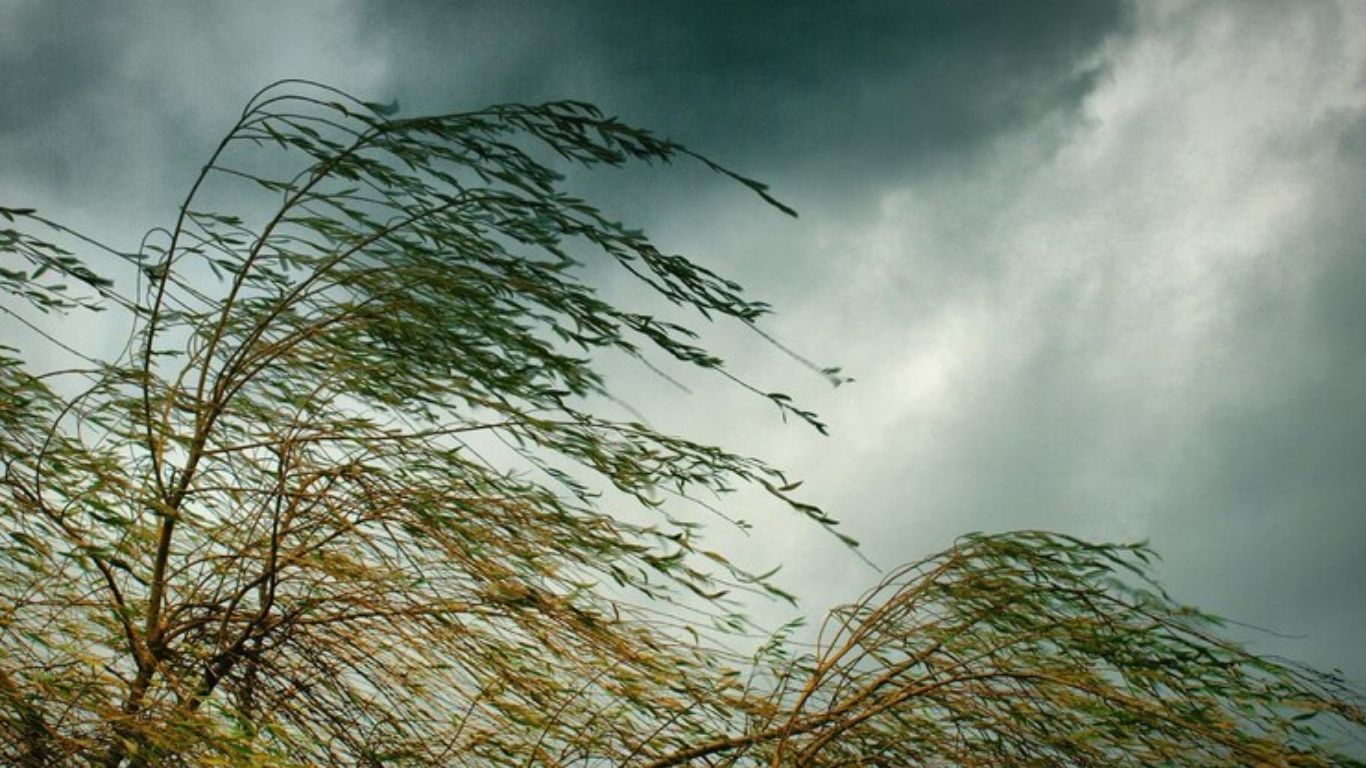 ¡Precaución! Activan Alerta Amarilla por fuertes vientos 