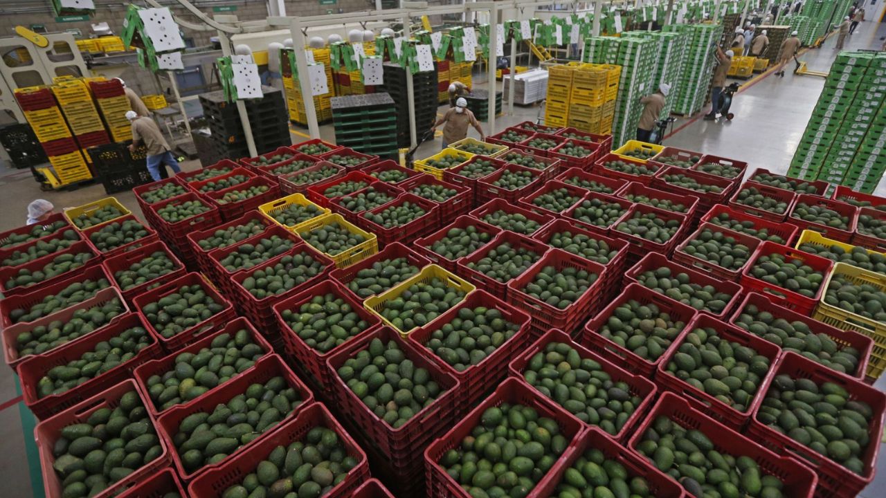 Super Bolw dispara precio del aguacate