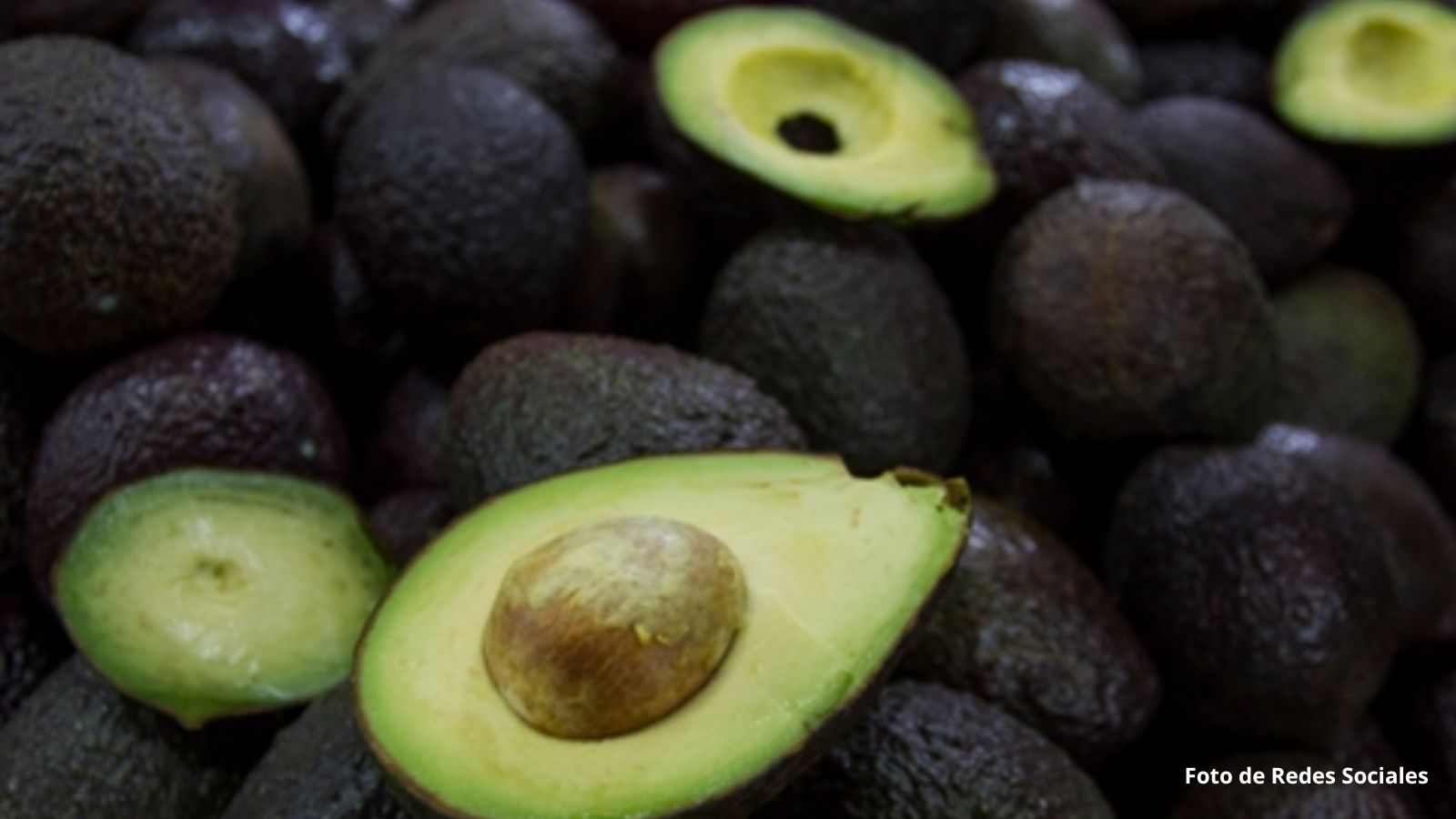 127 mil toneladas de aguacate a EU por el Super Bowl