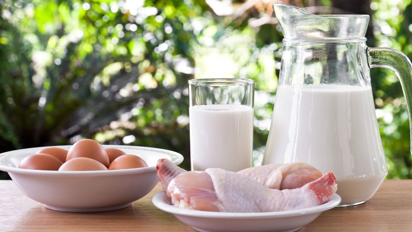 Carne, huevo y leche aportan 37% de la dieta en México