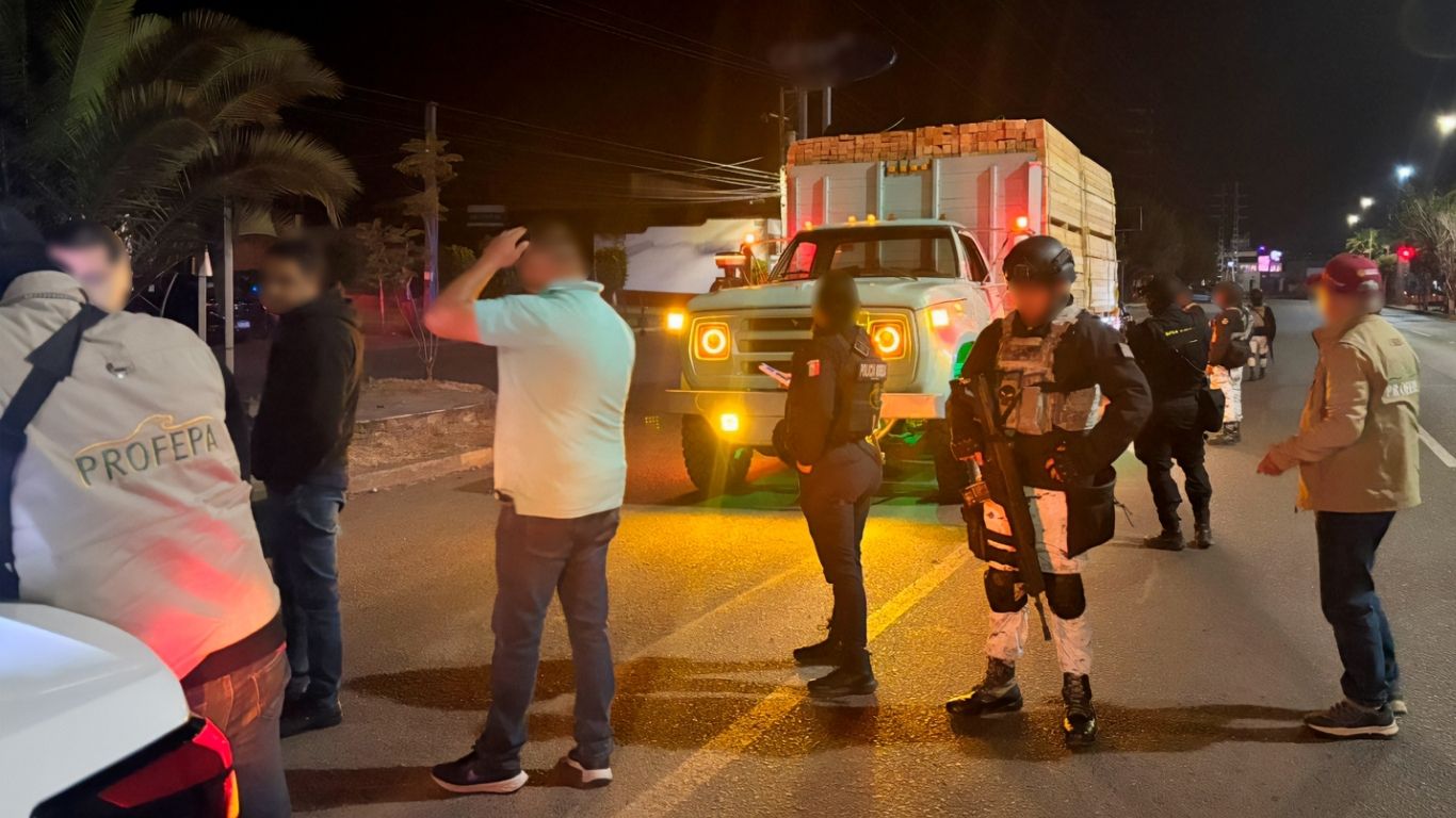 Edomex impondrá hasta 25 años de prisión por tala ilegal