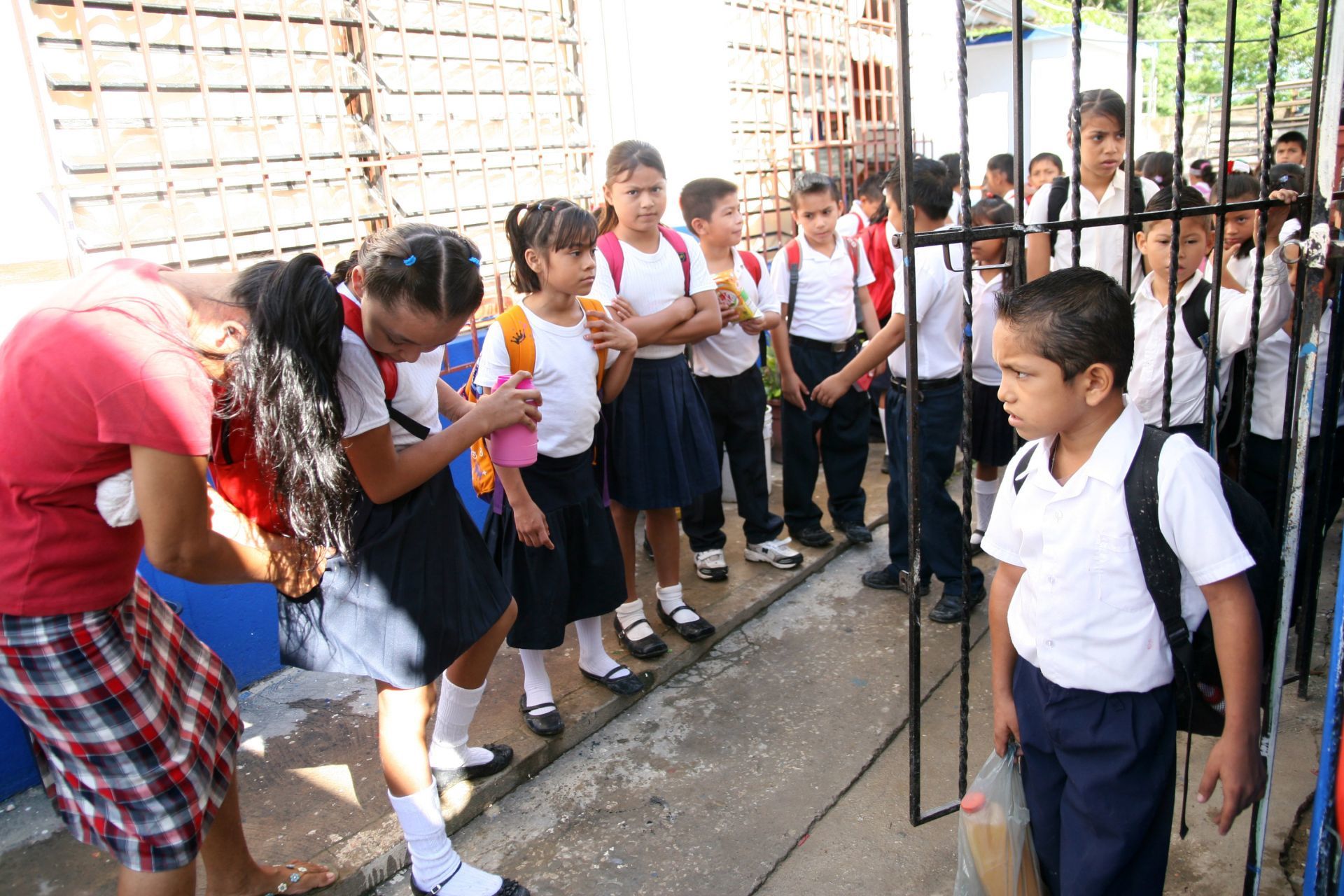 SEP habilita descarga de boletas de calificaciones 2024-2025