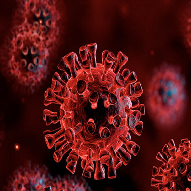 Cambio climático fortalece a virus y bacterias