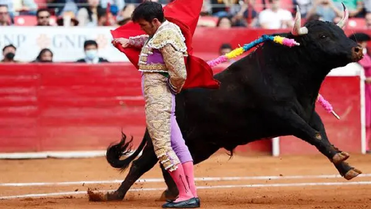 Michoacán hace historia, prohíbe las corridas de toros