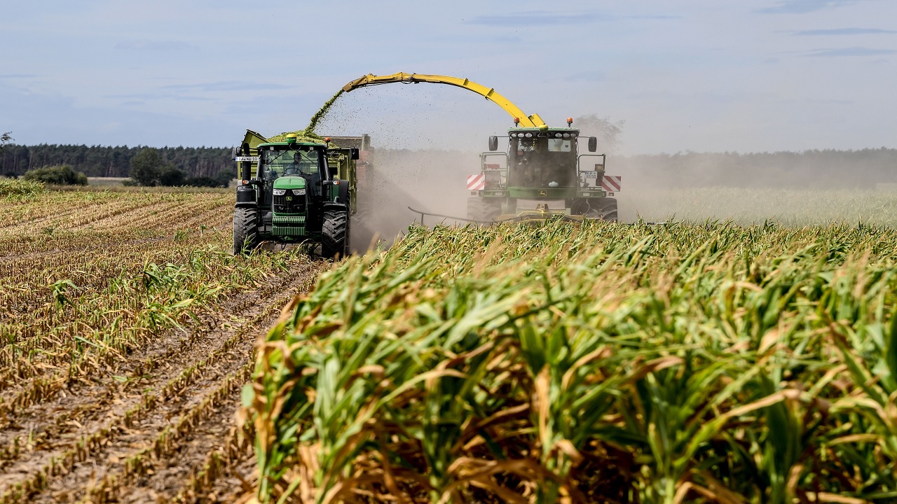 Se acabaron los intermediarios en apoyos al campo: Sheinbaum