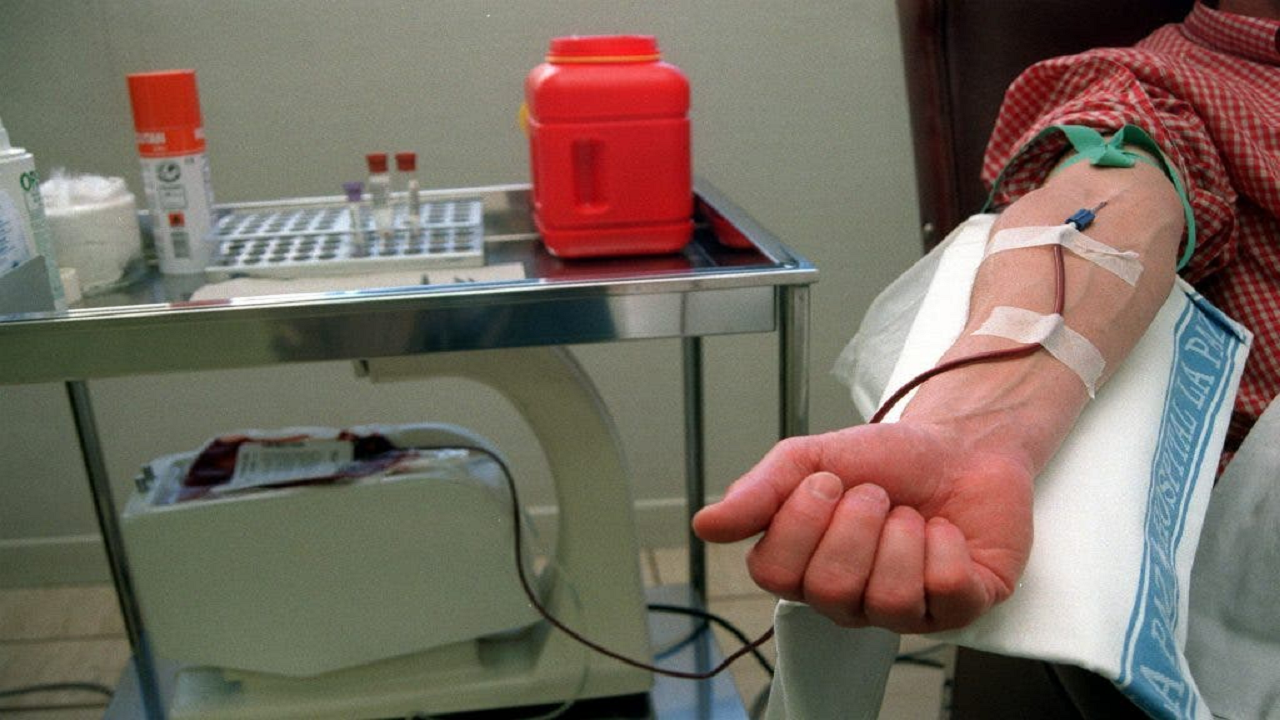 IPN detecta microplásticos en sangre y orina   