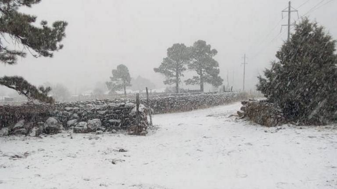 Inicio de año frío, hasta -15 grados en el Norte del país 