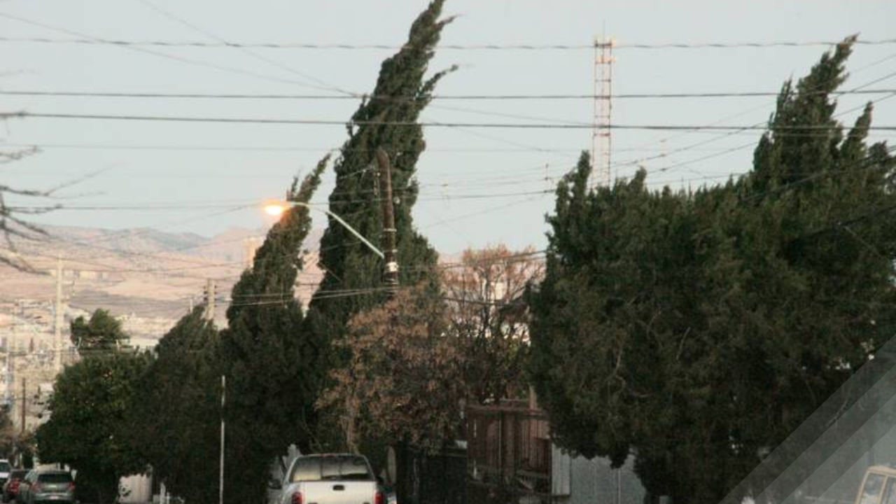PC activan Alerta Amarilla por fuertes vientos en CDMX