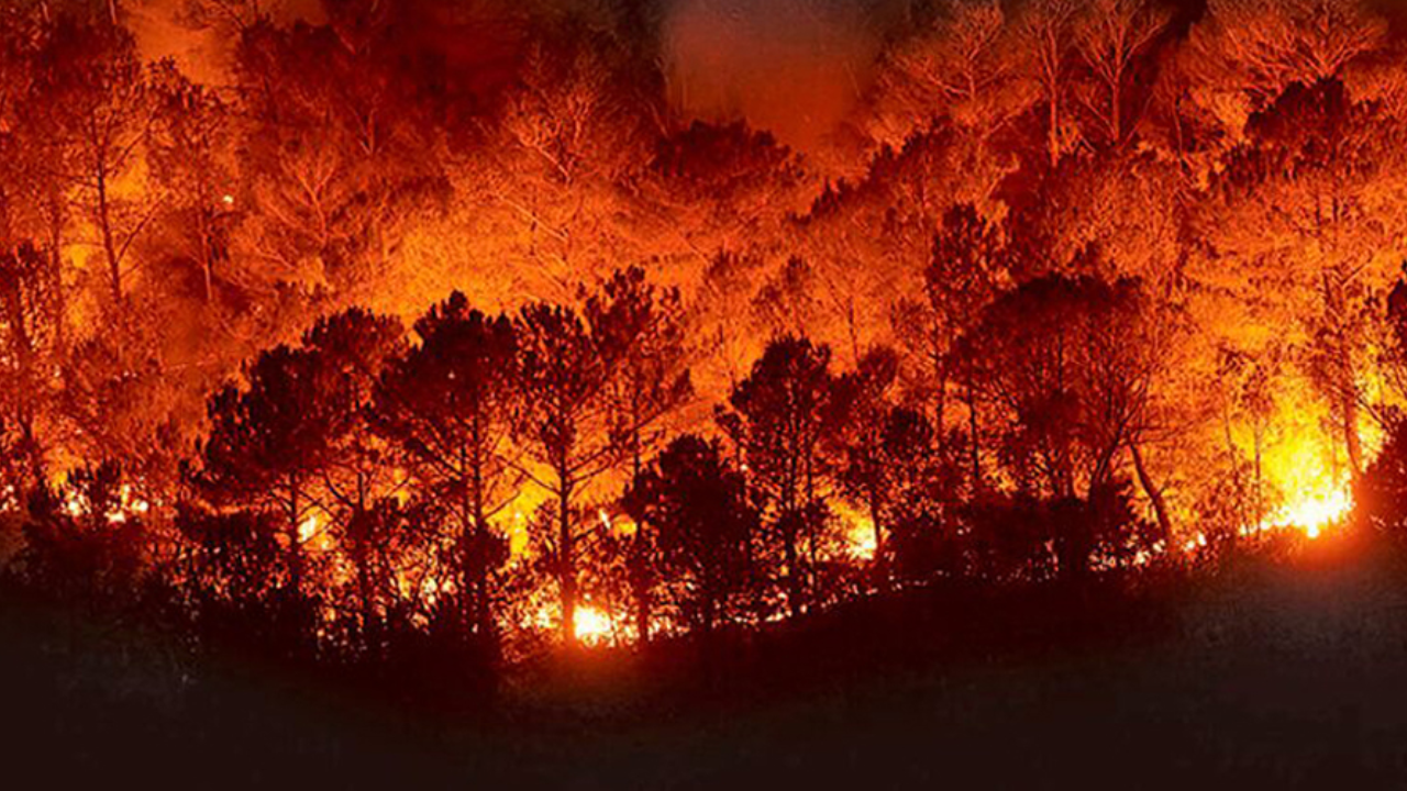 Chihuahua y Michoacán los más afectados por incendios forestales