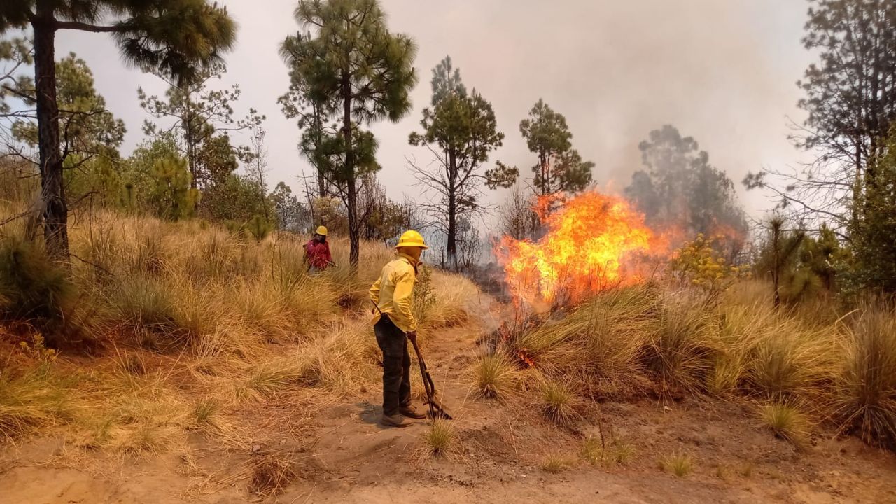 Brigadista de 53 años pierde la vida al combatir incendio en Morelos