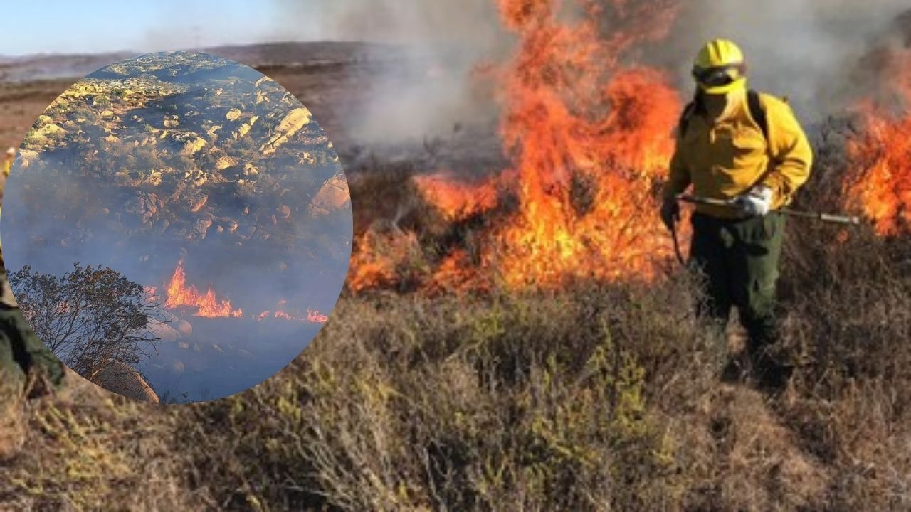 Incendio forestal afecta 330 hectáreas en BC
