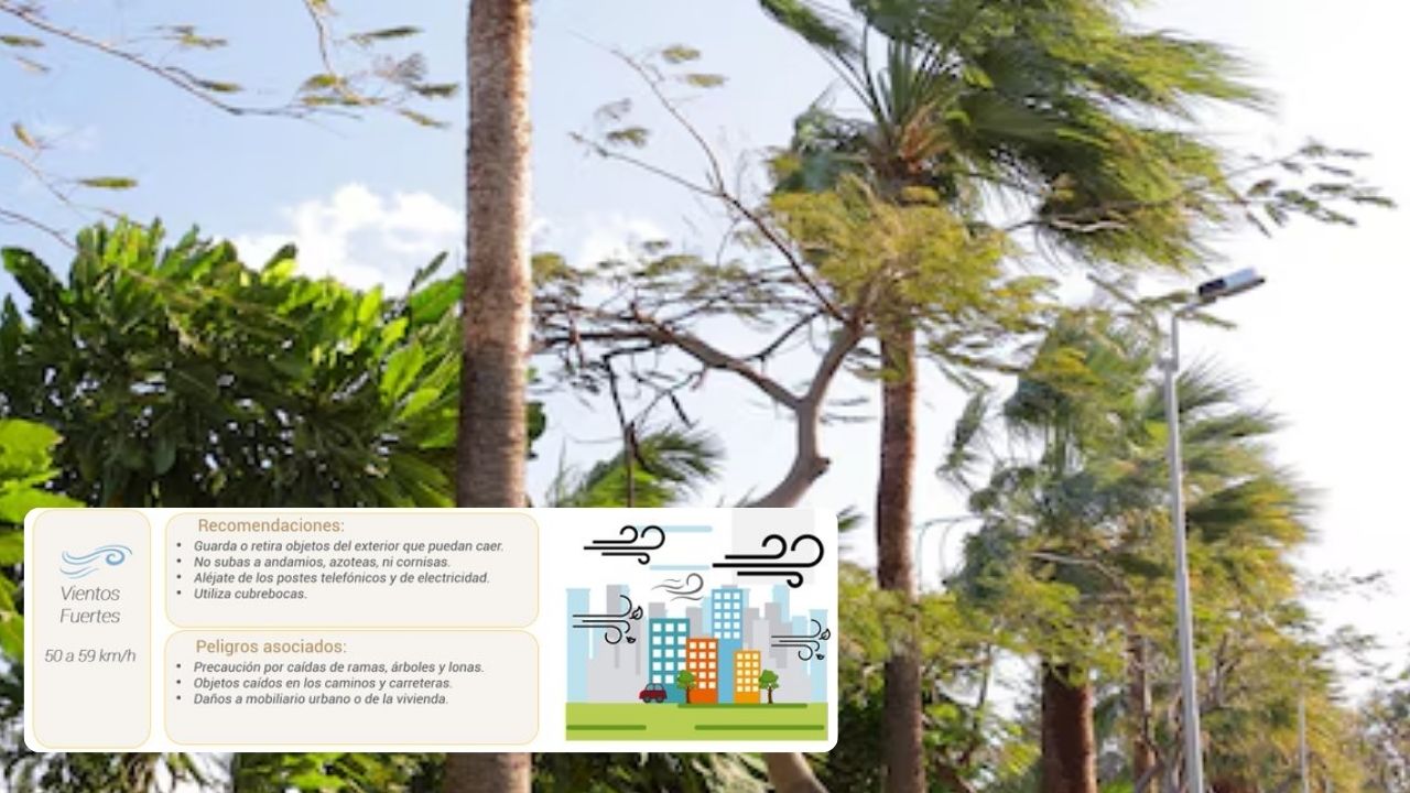 Alerta Amarilla por pronóstico de vientos fuertes