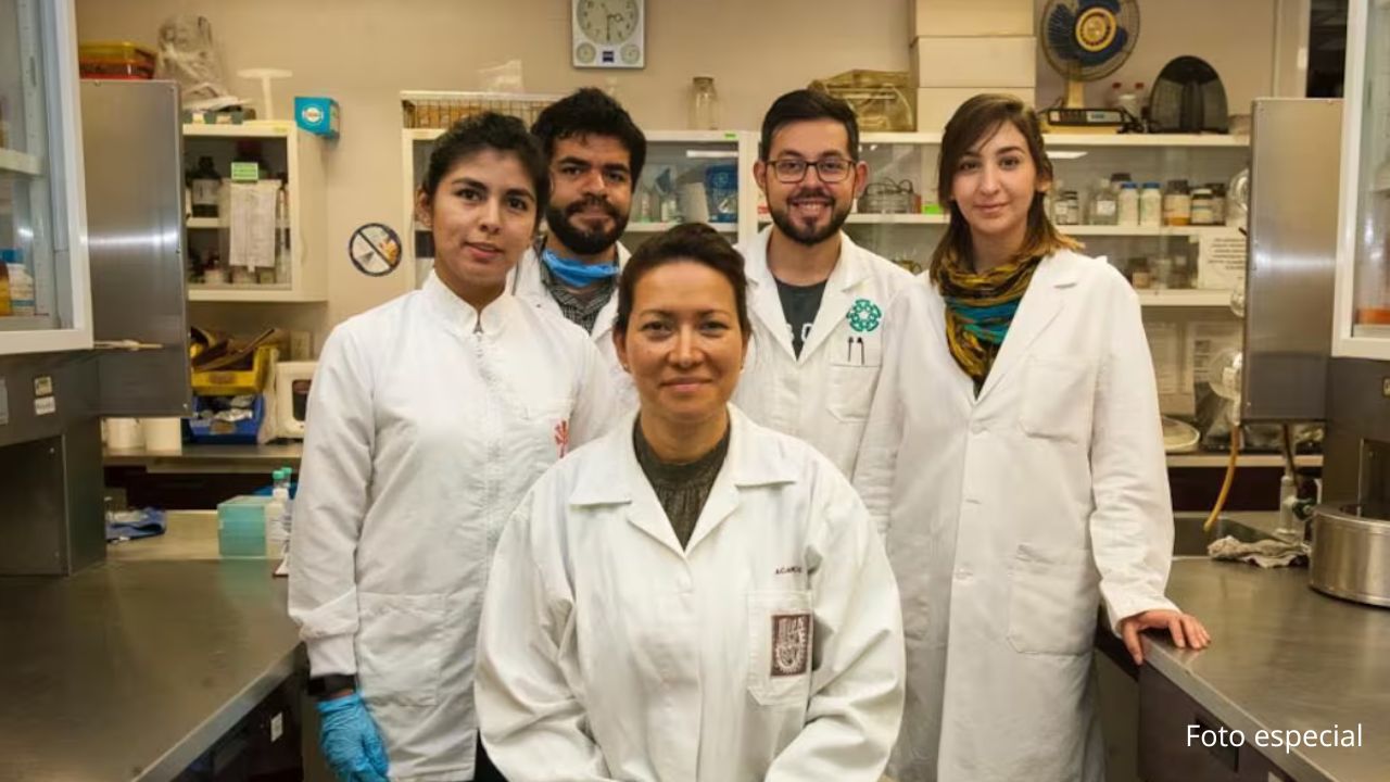 IPN logra eliminar al 100% el VPH en mujeres