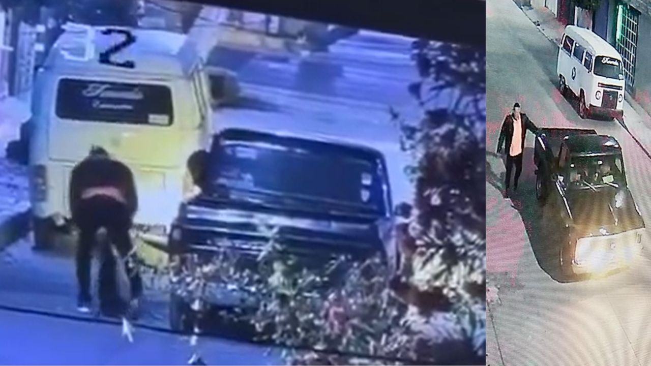 Exigen justicia para perrita torturada en Chimalhuacán