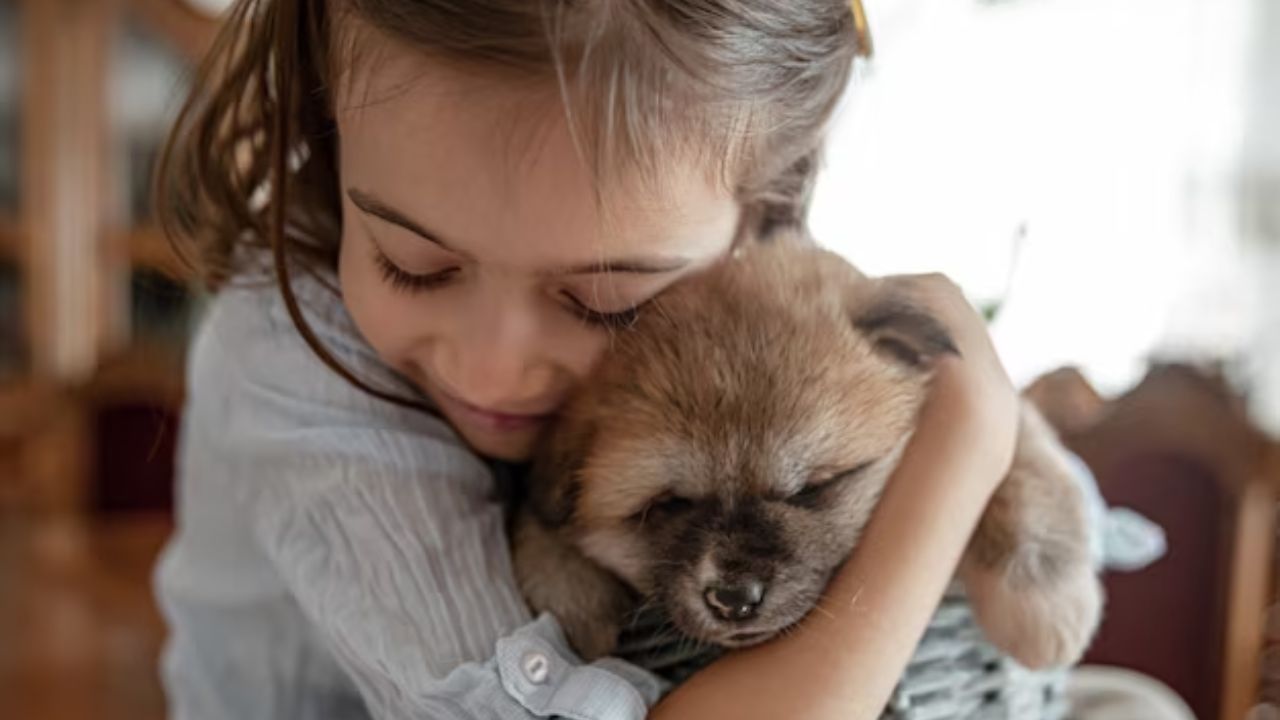 ¡Adopta una mascota este 14 de febrero!