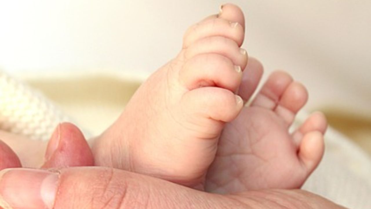 Iglesia católica rechaza que el aborto sea un derecho en México