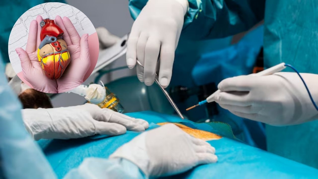 Día Mundial del Trasplante de Órganos y Tejidos