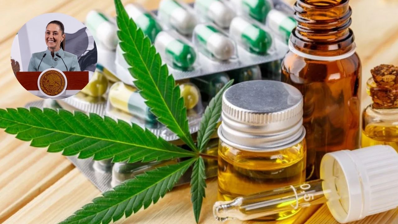 Sheinbaum dice no al uso lúdico de la cannabis  