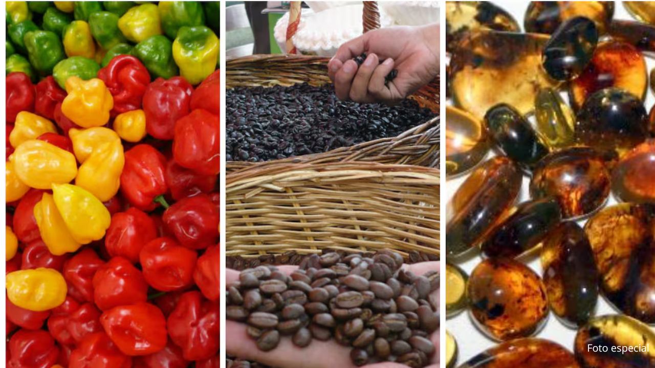 Ante aranceles mexicanos llaman a consumir sólo productos locales