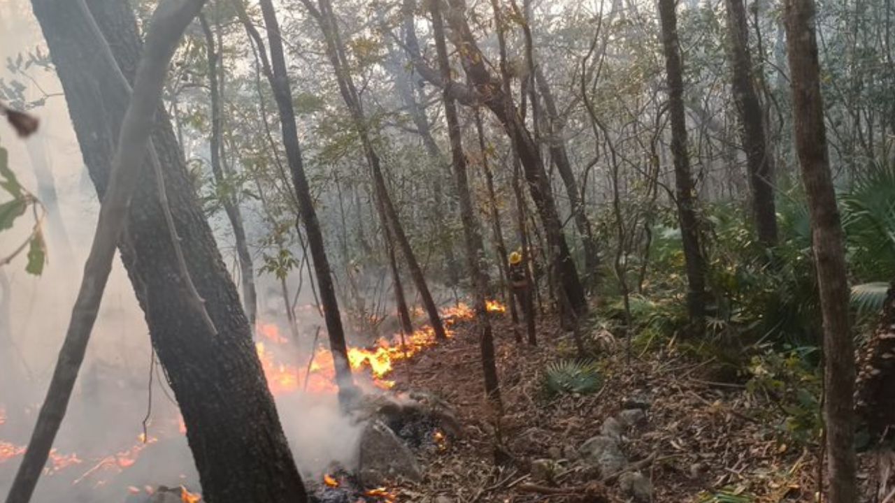 Más de 400 hectáreas afectadas por incendios forestales en Hidalgo