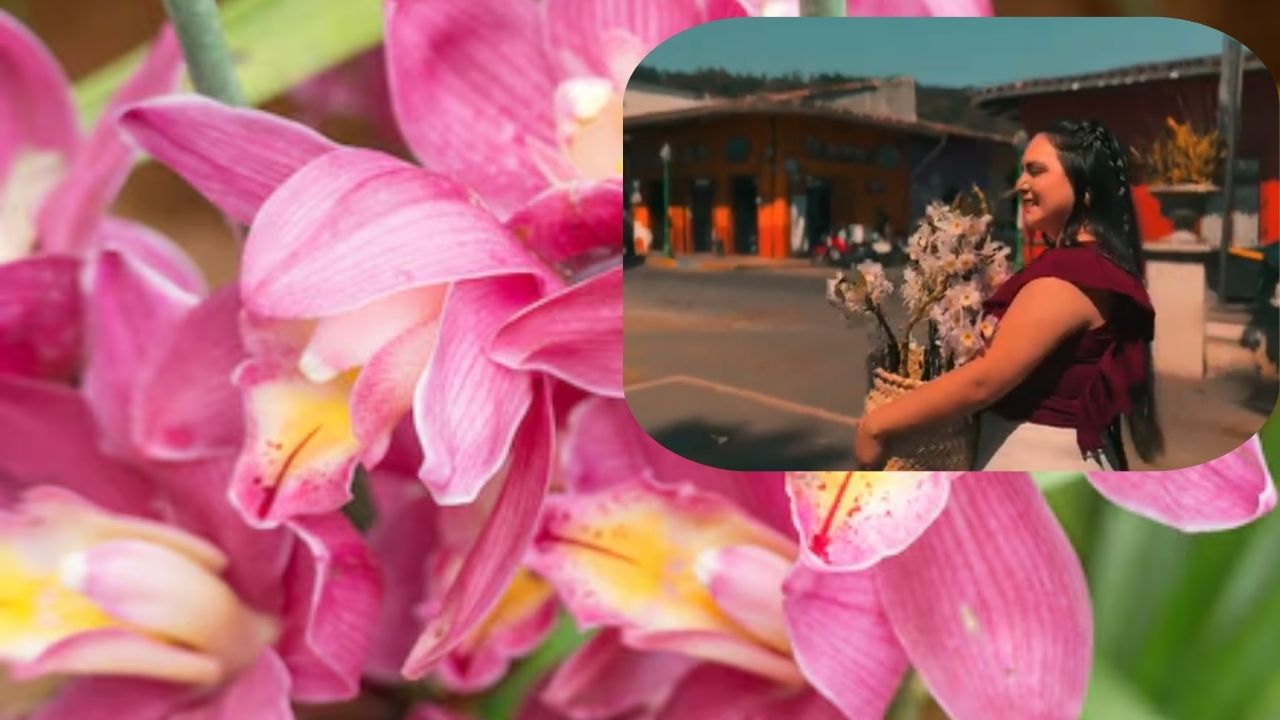 Décima Quinta Edición del Festival Internacional de la Orquídea