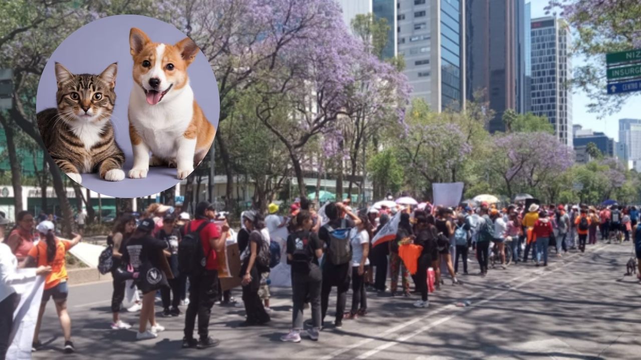 Marcha nacional por el respeto a los animales