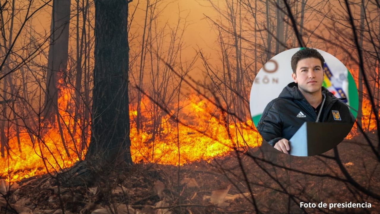 Incendios en NL fueron provocados denuncia Samuel García