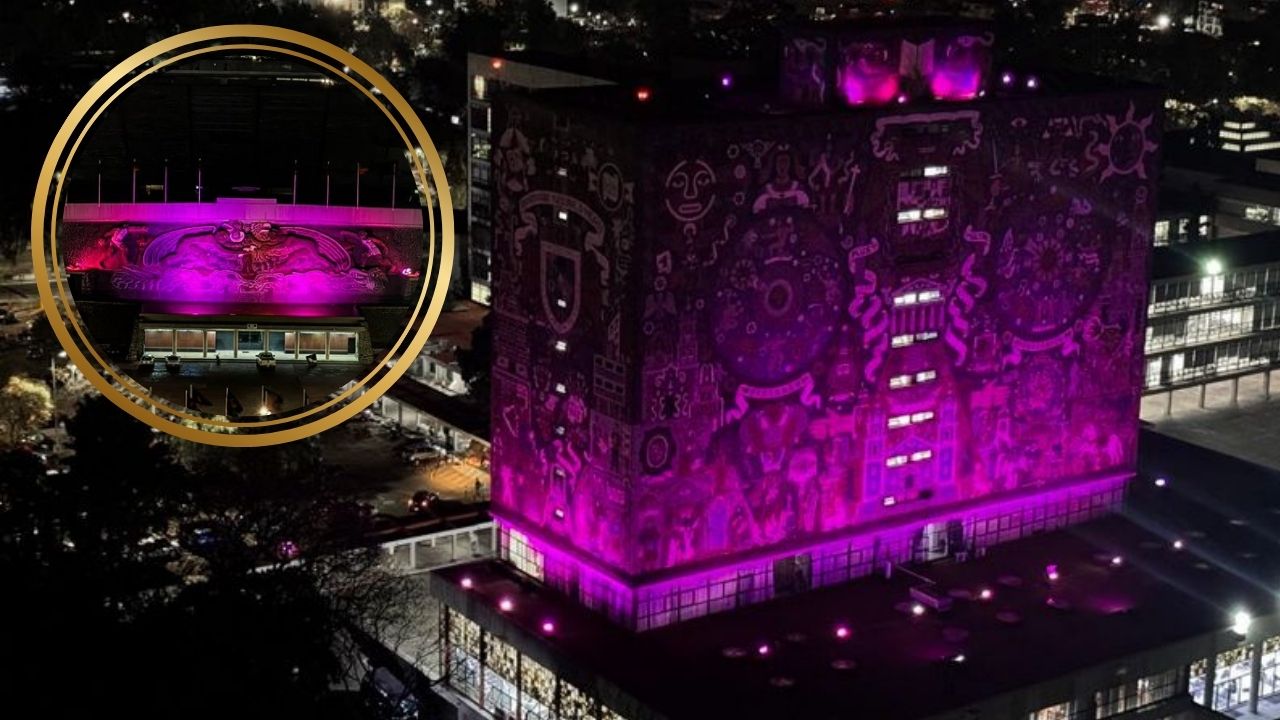 Con más de 400 actividades, la UNAM conmemora el 8M