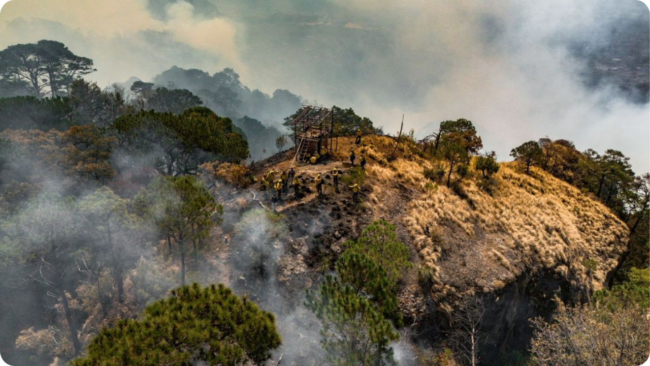 Incendio en Tepoztlán es controlado al 40%: Conafor