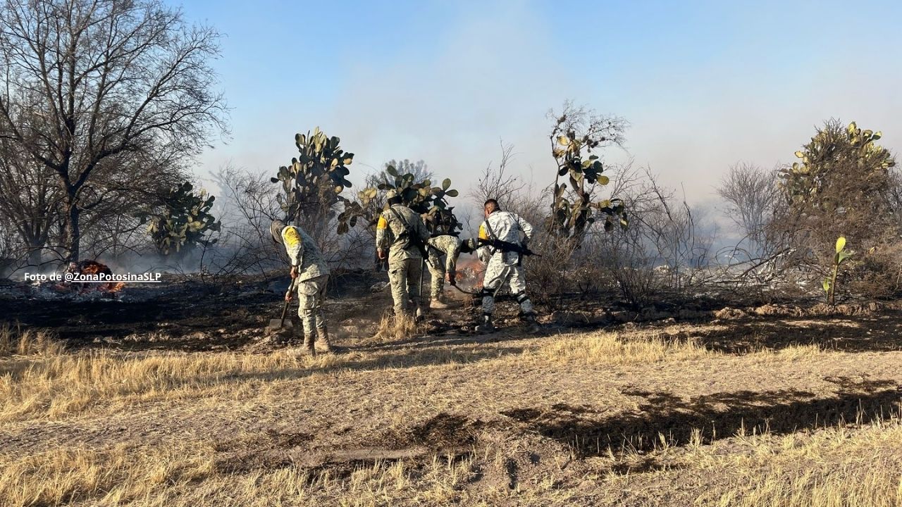 Se aplica Plan DN III E por incendios forestales la huasteca potosina