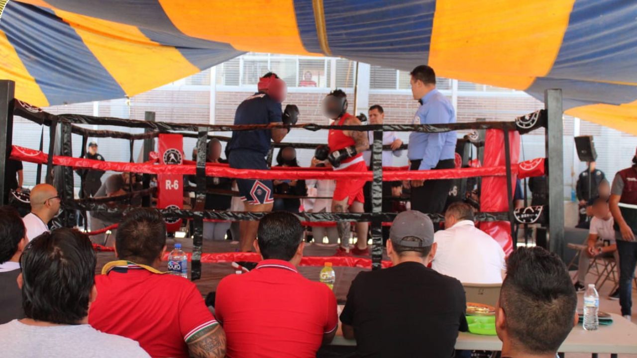 Este domingo se realiza la Mega Clase Nacional de Box