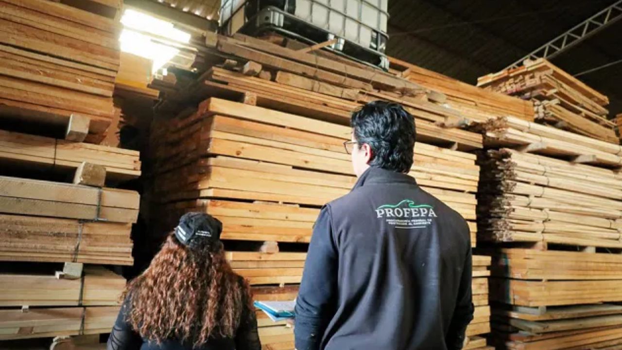 Golpe a la tala ilegal en Iztacalco