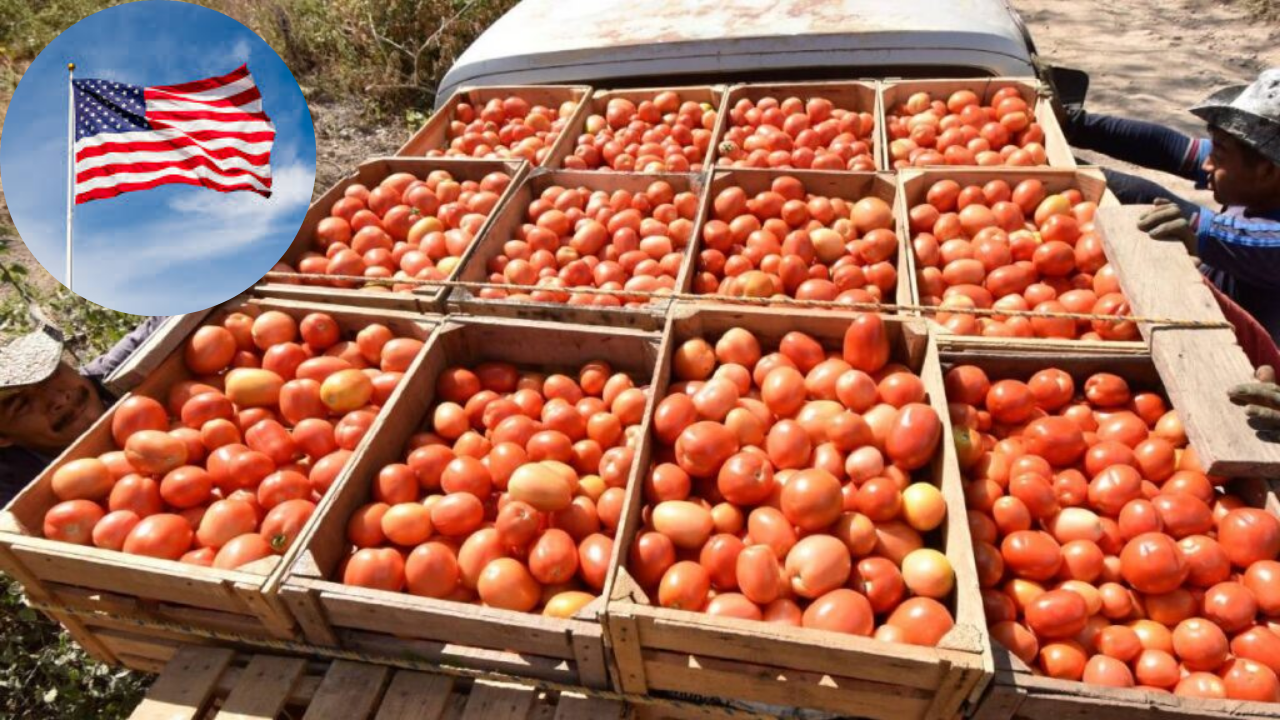 Con arancel les saldrá más cara la catsup a EU: Berdegué