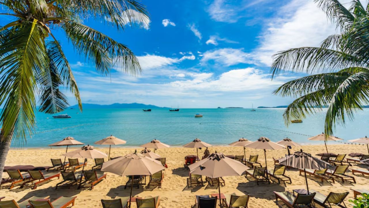 98% de playas mexicanas aptas para vacacionar