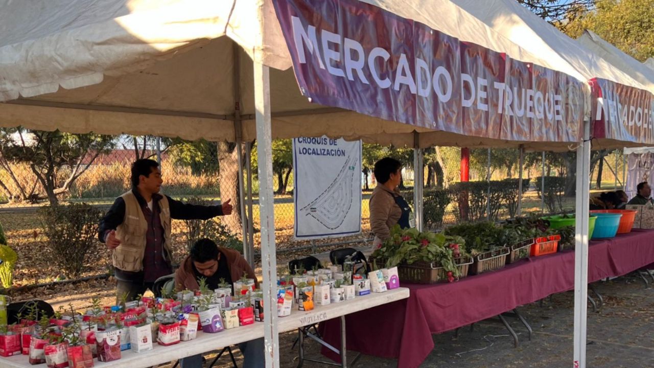 ¡Habrá Mercado de Trueque! Te decimos dónde