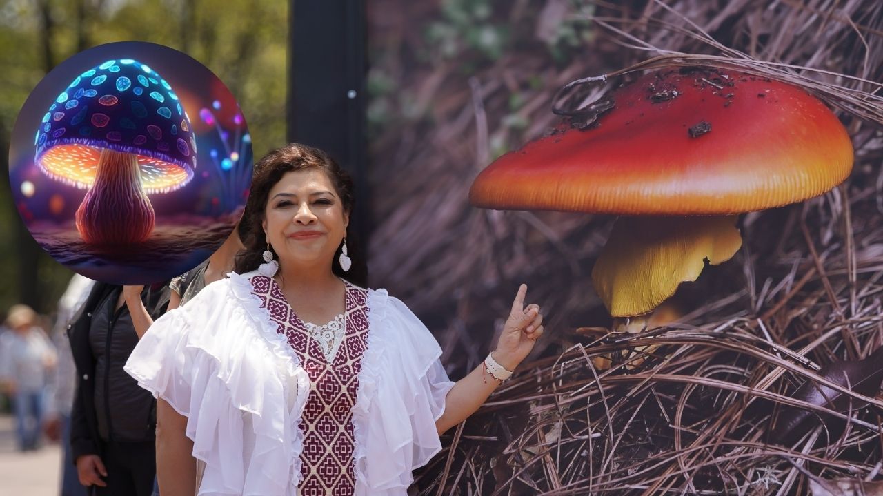 Busca Brugada llevar Spora a más bosques de la CDMX