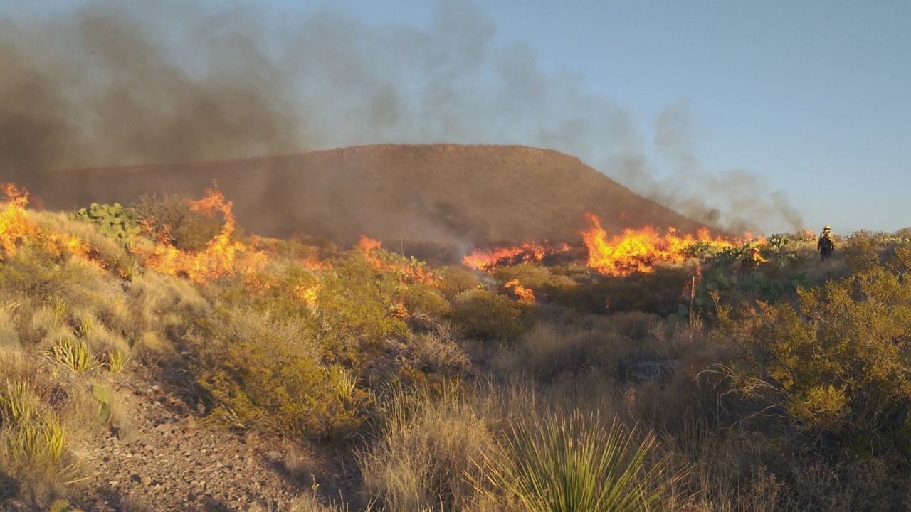 Conafor reporta 99 incendios activos en México