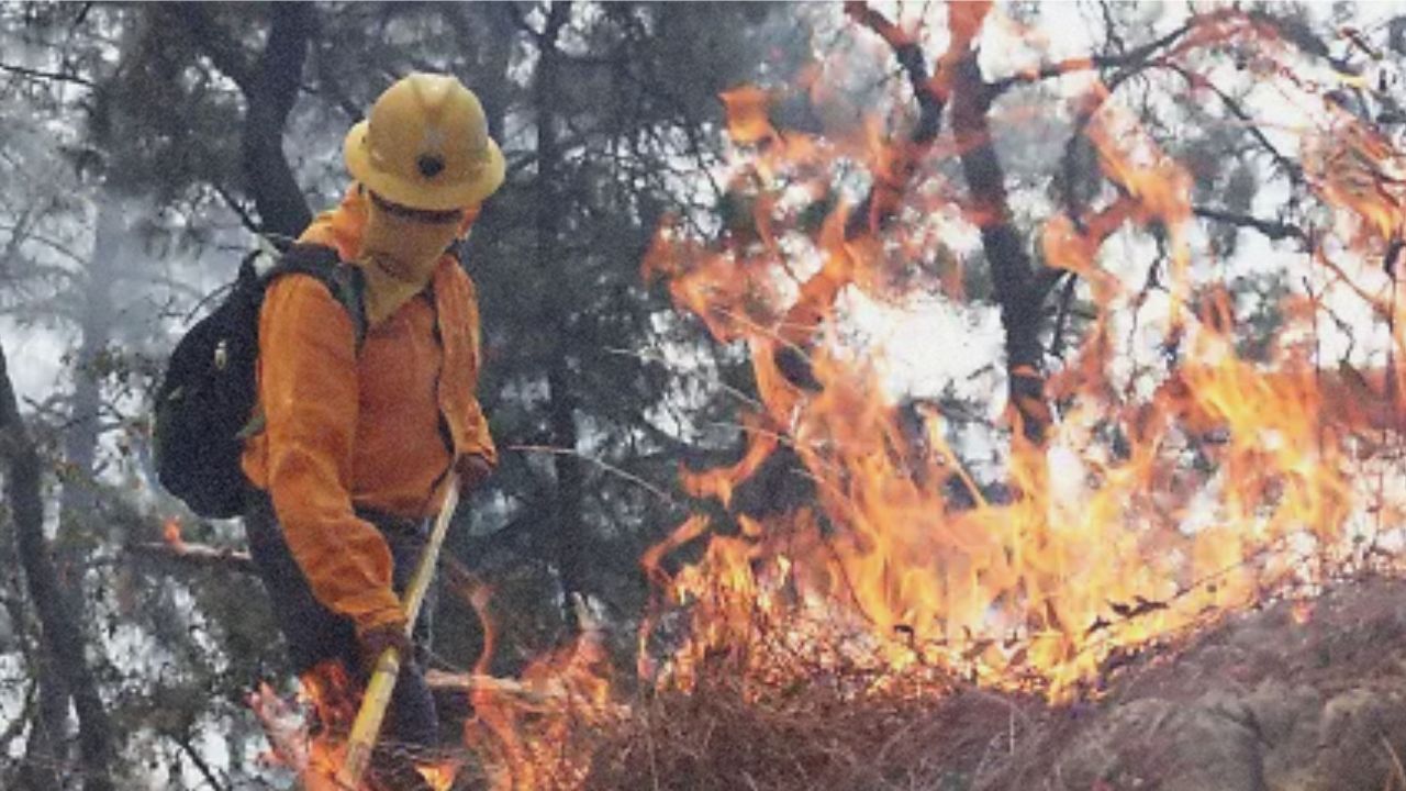 12 incendios forestales activos en Morelos: CNPC