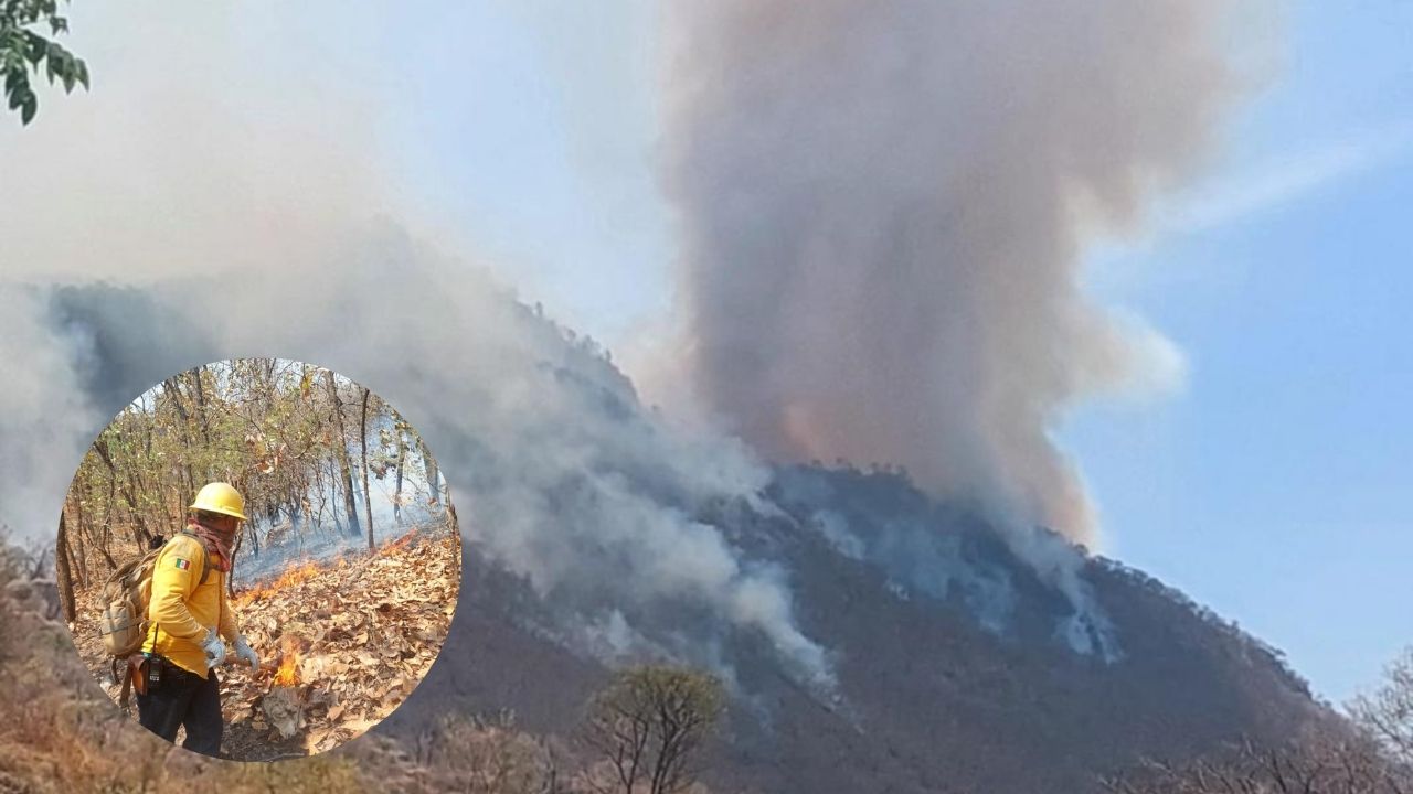 Incendio forestal en selva de Michoacán