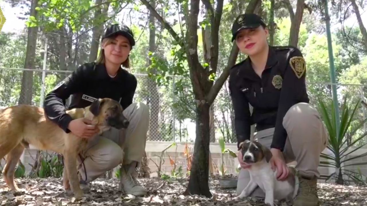 ¡No te lo pierdas! “Adoptatón” en Xochimilco