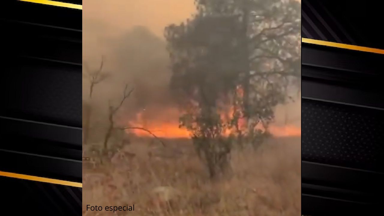 Incendio consume cerro La Beata en Querétaro