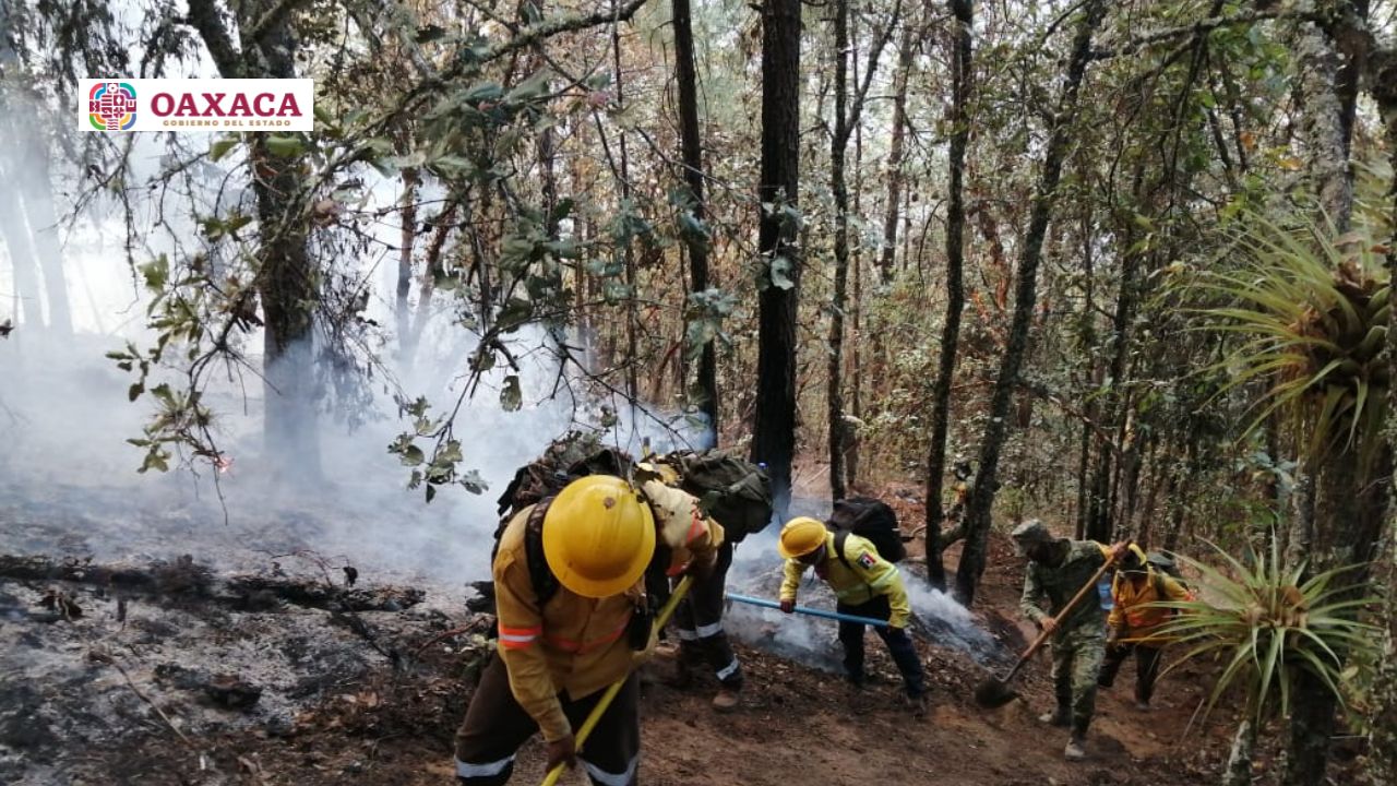 Por incendio forestal desalojan a habitantes de Santa Catarina de Sena