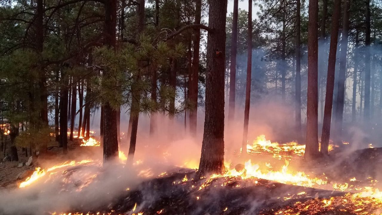 109 incendios activos en 20 estados del país