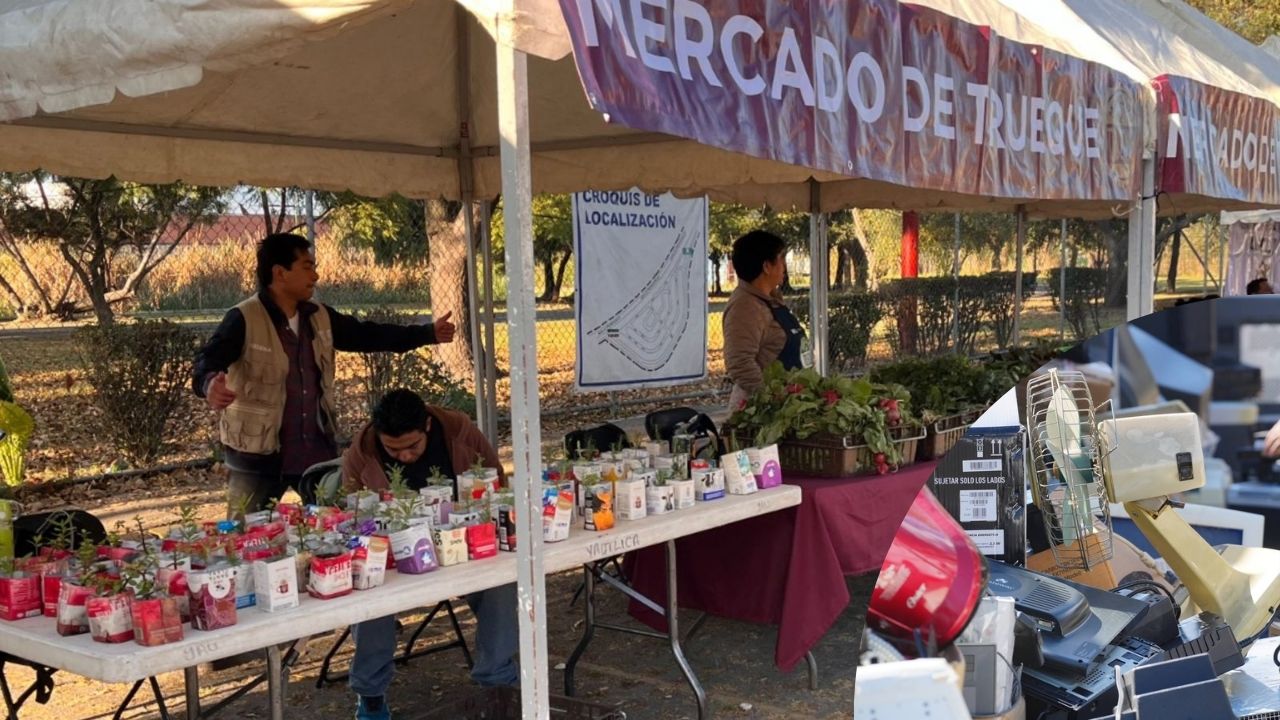 Mercado de Trueque en el Bosque de San Juan de Aragón