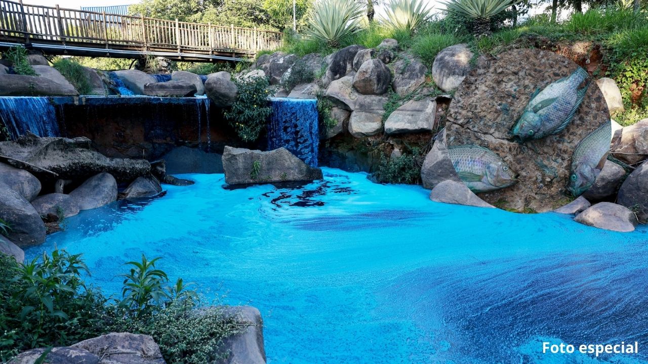 Derrame de colorante tiñe de azul lago y fauna en Jardín Botánico de Brasil