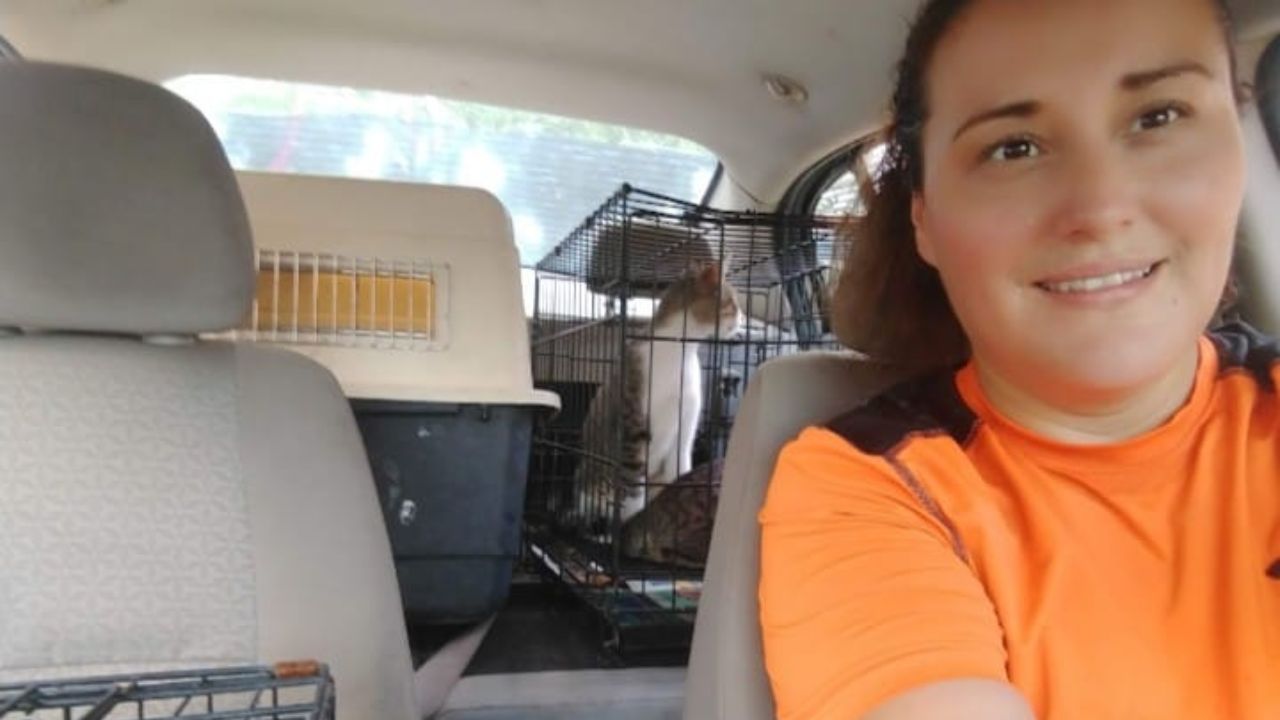 Exigen justicia tras asesinato de María Dolores Patiño